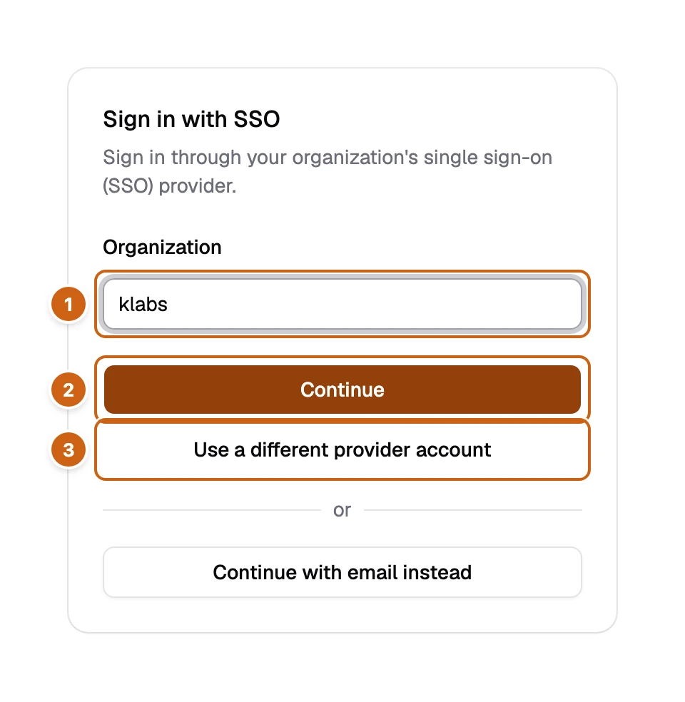 The Sign in with SSO page with three numbered boxes: Organization, Continue, and Use a different provider account