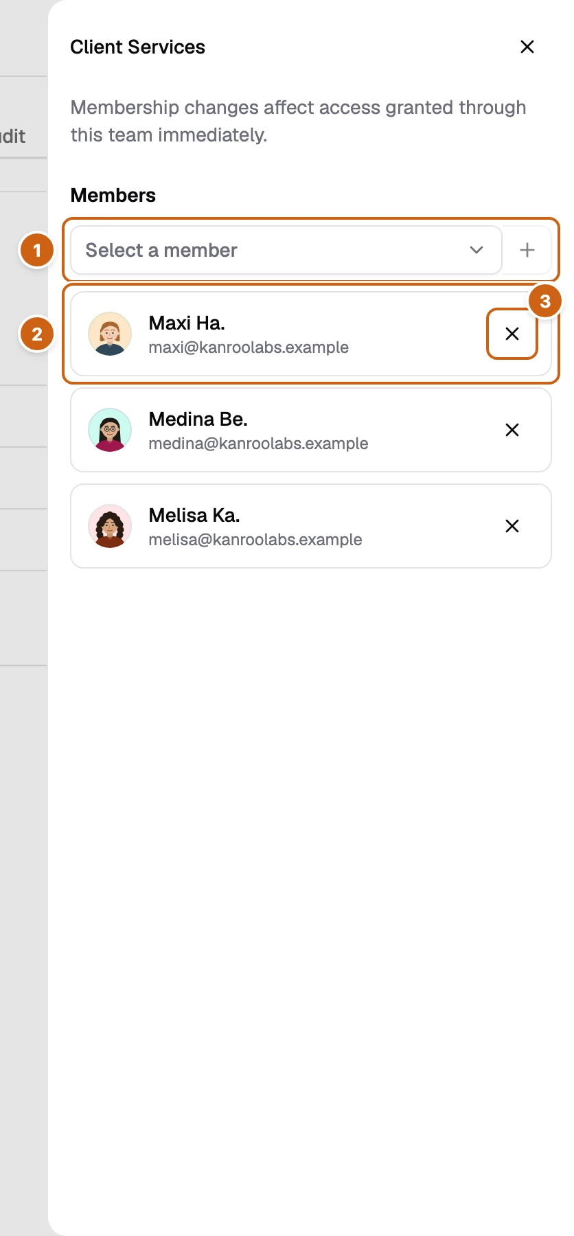 The Client Services team panel with three numbered boxes: Add organization member, a member, and the remove button